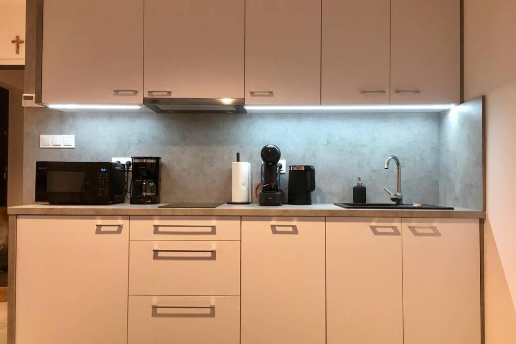 Apartament Fibra Brownie Rybnik  Bagian luar foto
